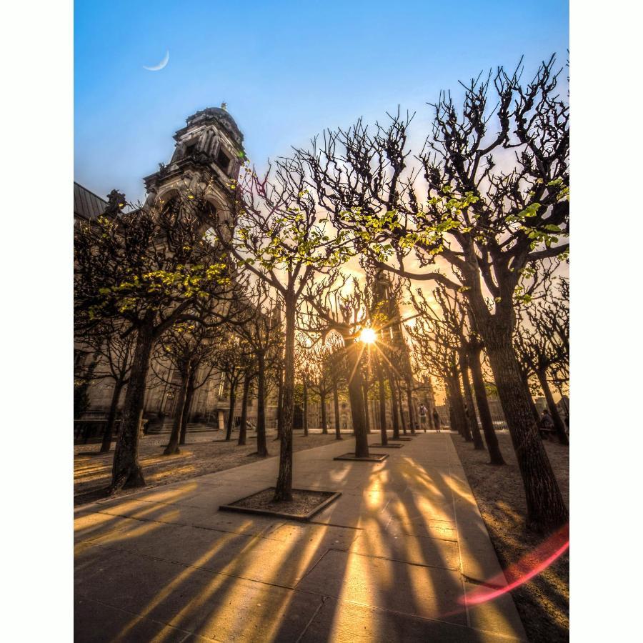 Gaestezimmer In Dresden Mit Dach-Terrasse, Wohnbereich Und Kueche Daire Dış mekan fotoğraf